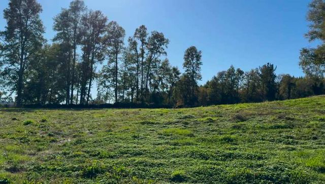 Últimas 4 parcelas a 15 min del lago Ranco desde $29 Mill