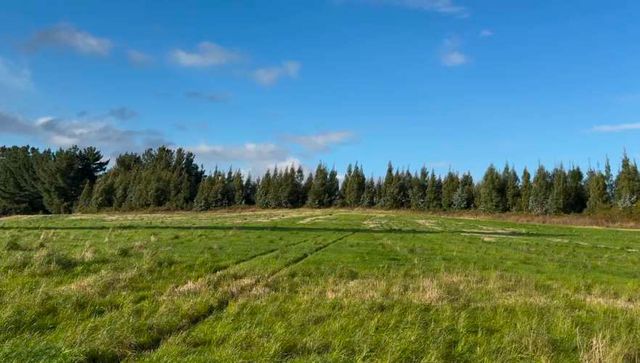 Últimas 4 parcelas a 15 min del lago Ranco desde $29 Mill