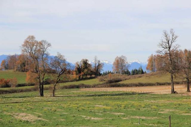 Últimas 4 parcelas a 15 min del lago Ranco desde $29 Mill