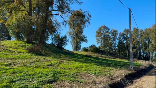 Últimas 4 parcelas a 15 min del lago Ranco desde $29 Mill