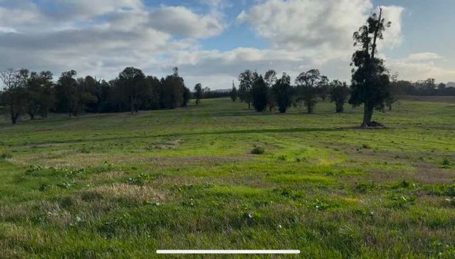 Últimas 4 parcelas a 15 min del lago Ranco desde $29 Mill