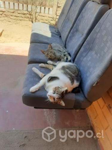 Butacas de 4 asientos