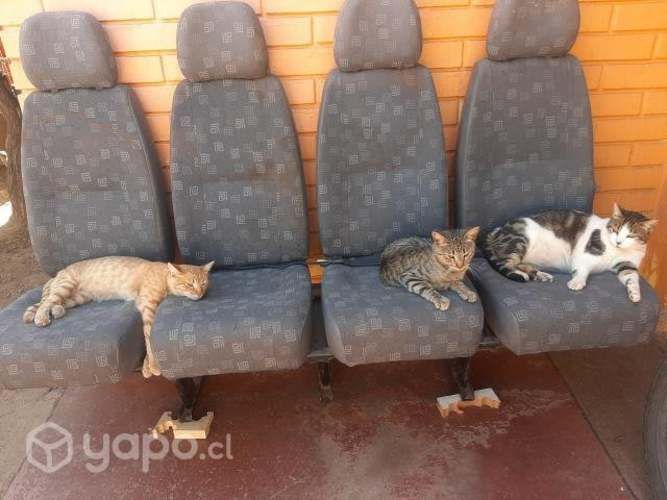 Butacas de 4 asientos