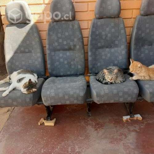 Butacas de 4 asientos