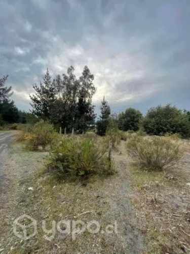 Parcelas 5000 metros cusdrados