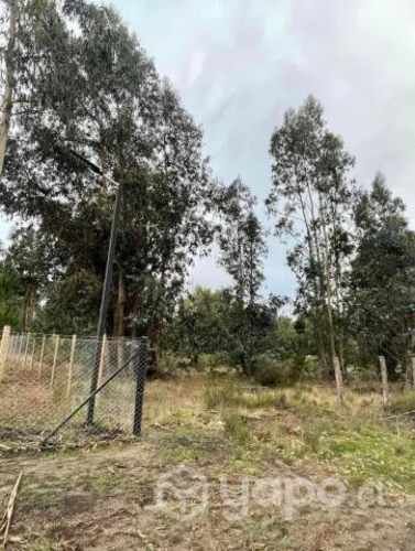 Parcelas 5000 metros cusdrados