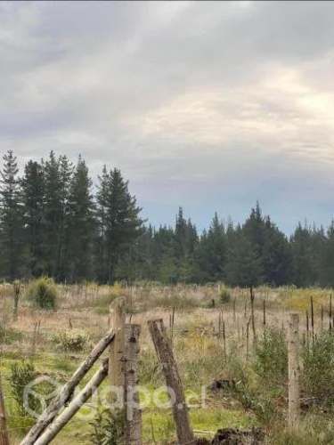 Parcelas 5000 metros cusdrados