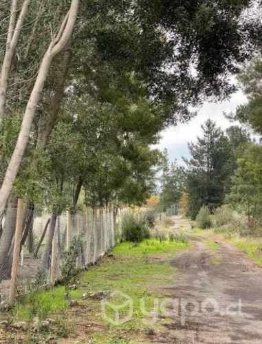 Parcelas 5000 metros cusdrados