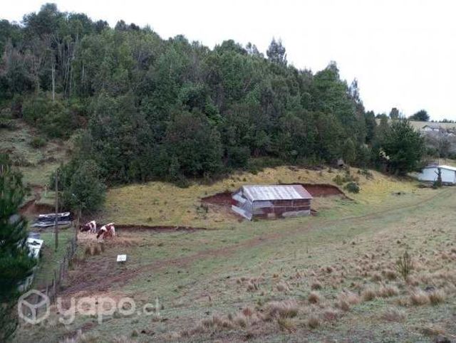 Terreno de 4 hectareas