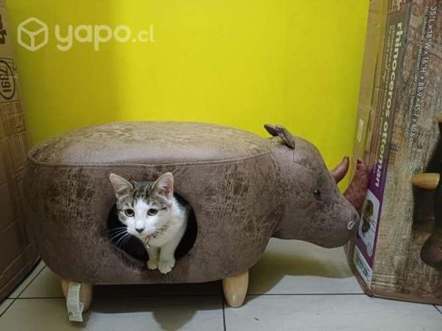 Cama para mascotas de lujo