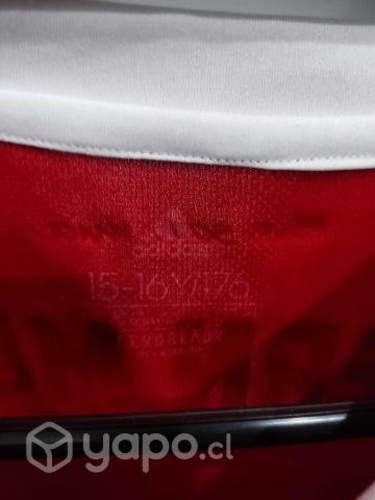 Polera Bayern Munchen Talla 15-16