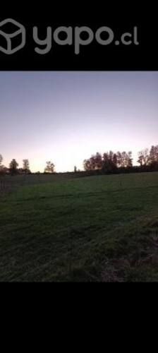 Se vende 2 medias hectáreas a 5 km de osorno