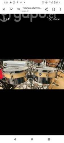 Timbales mein hibridos