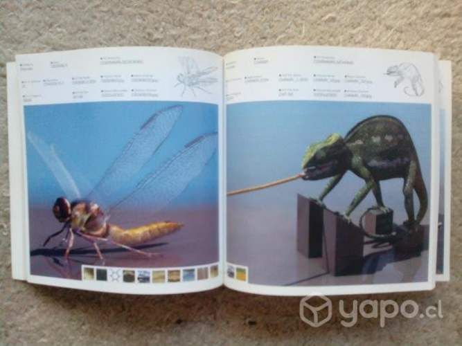 Libro 500 3D OBJECTS