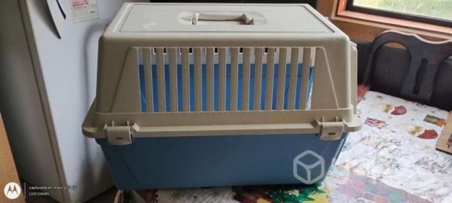 Casita linda para perrito