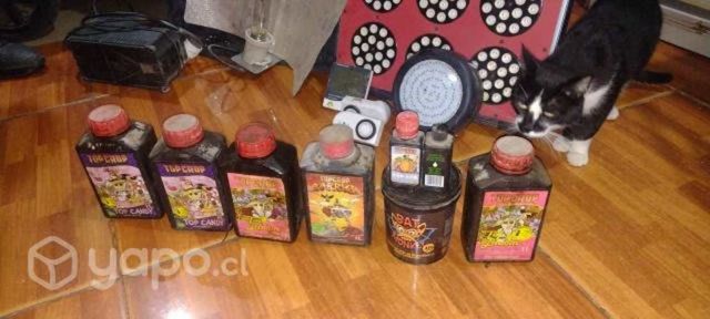 Indoor todo equipado aprovecha