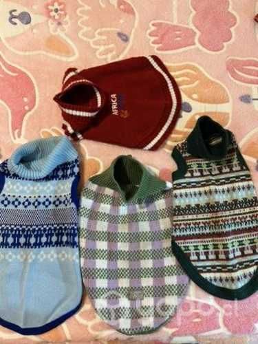 Trajes talla S-M y accesorios de mascotas