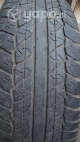 Nuematicos Dunlop 16