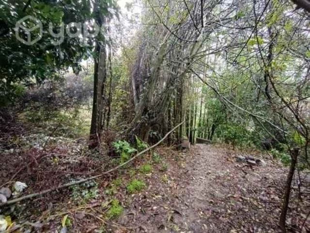 Se vende terreno con 4 casas en Collao, Concepción