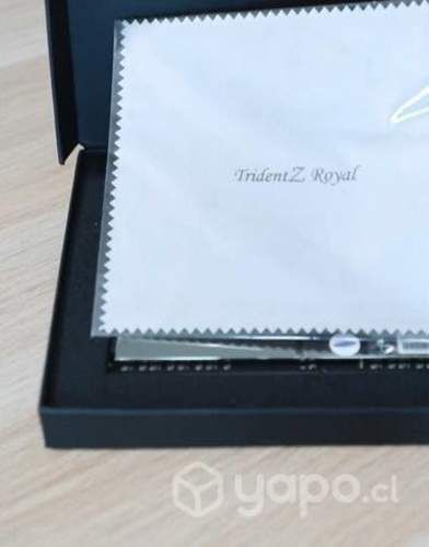 Ram G.skill Trident Z Royal silver