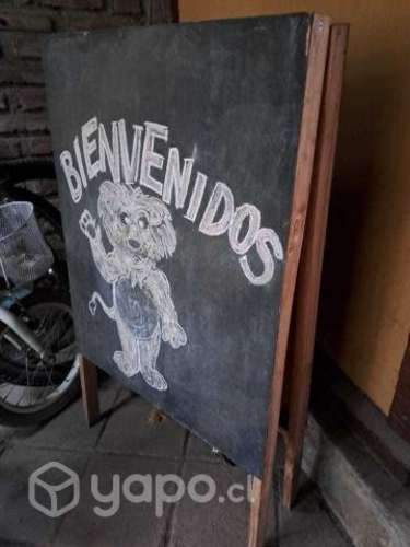 Pizarra doble palometa