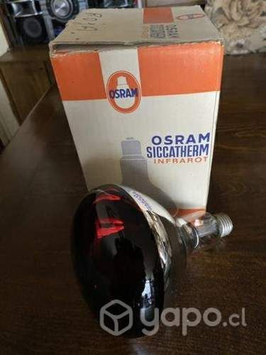 Ampolleta infrarroja de 250 watts
