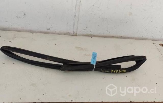 Goma Vidrio Puerta Del DER (FFP2028) F150 2020 Pla