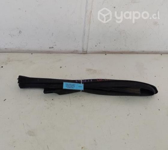 Goma Vidrio Puerta Tras Izq (FFP2003) F150 2020 Pl