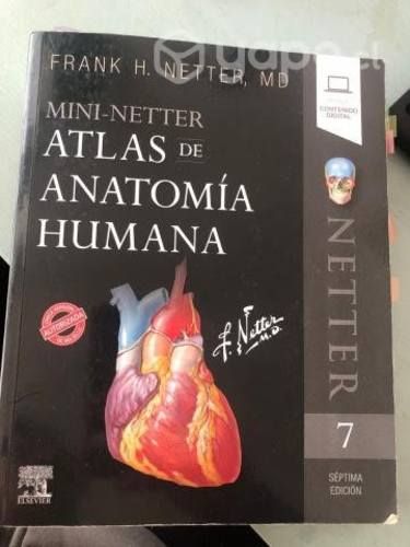 Mini Netter 7ma Edición