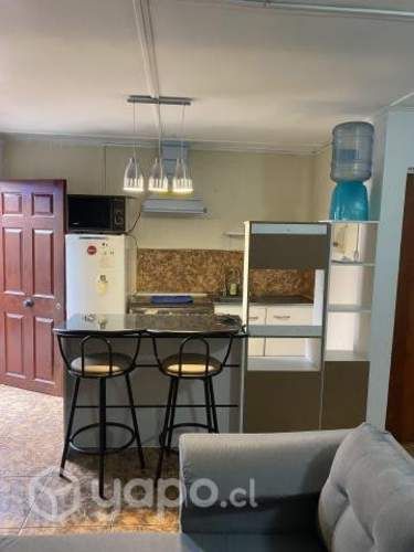Arriendo Departamento tipo LOFT