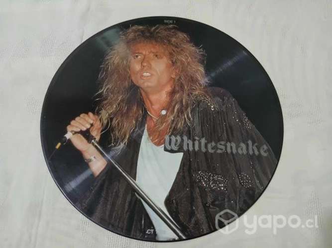Picture disc: whitesnake