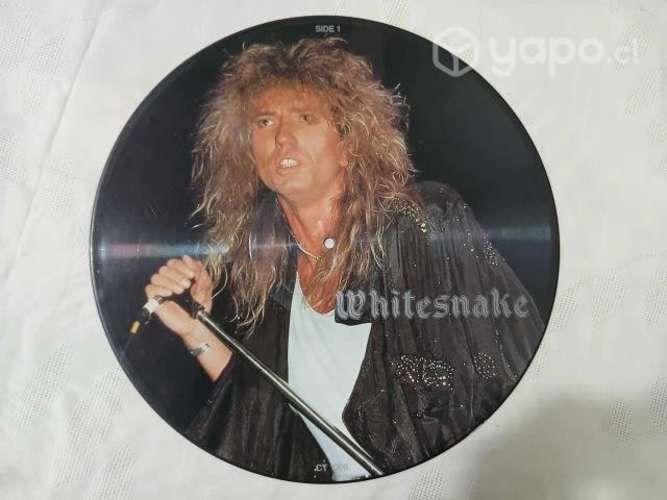 Picture disc: whitesnake