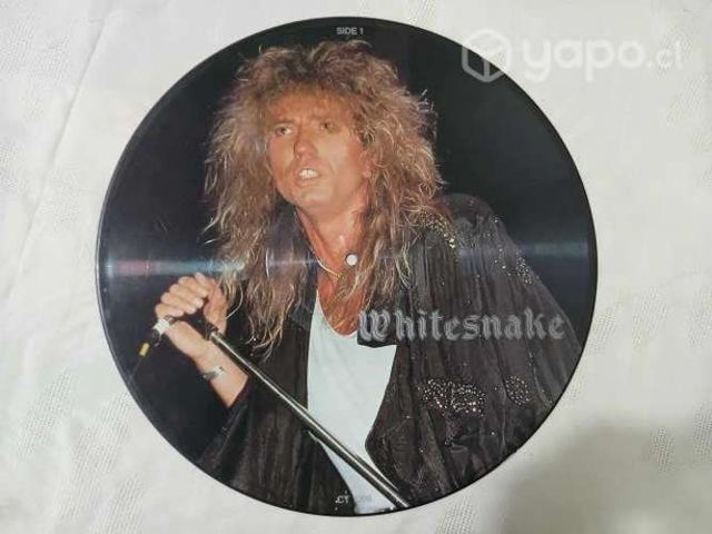 Picture disc: whitesnake