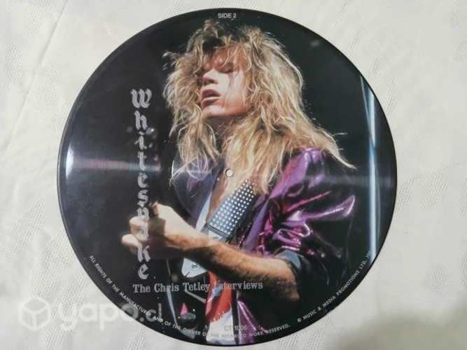 Picture disc: whitesnake