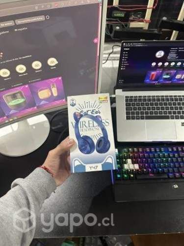 Audifonos inalambricos gatitos