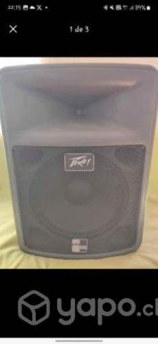 Cajas acus pasivas 12 pulgadas peavey
