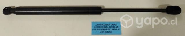 Amortiguador Capot Der (LFF199) F150 Lariat 5.0 20