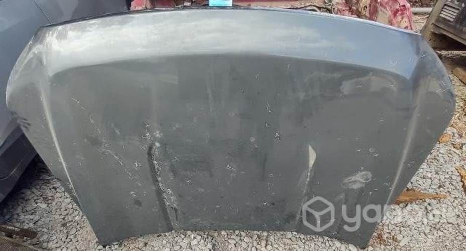 Capot (LFF004) Ford F150 Lariat 5.0 AUT 4x4 2023