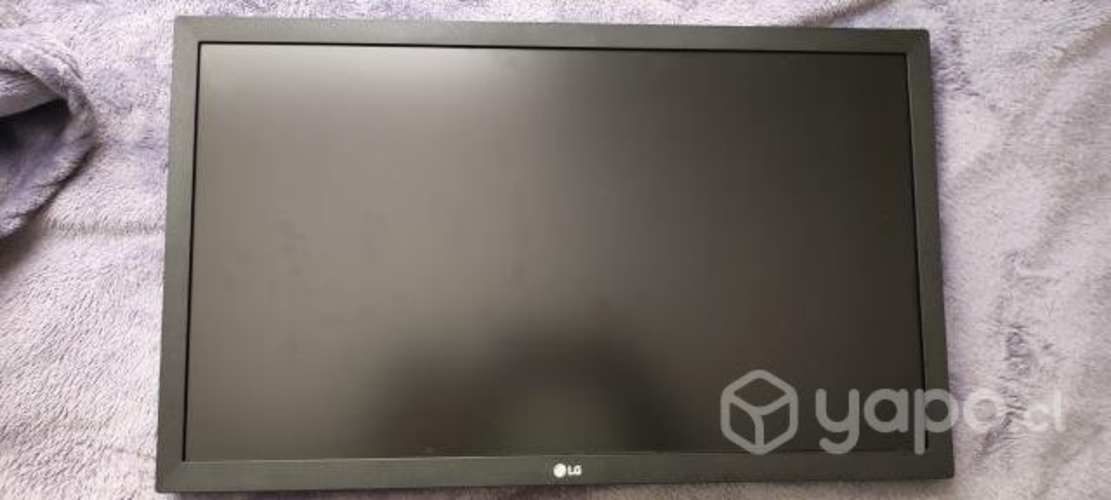 Monitor pc LG