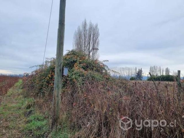 Vendo parcela 5mil metros2