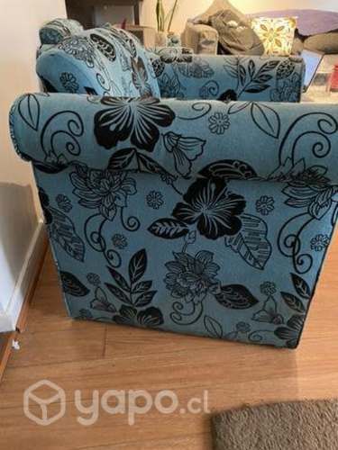 2 sofás de un cuerpo