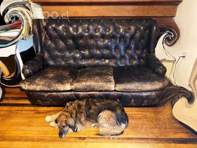 Sofá Sillón antiguo de cuero