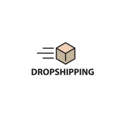Página web dropshipping