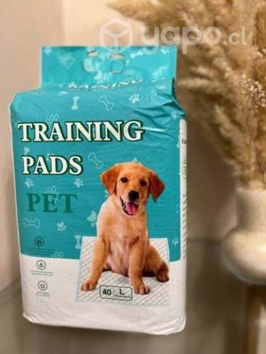 Sabanillas finas y super absorbentes