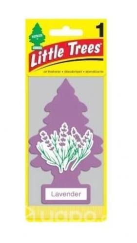 Pino little trees lavanda americano