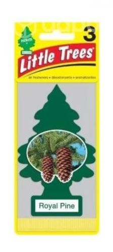 Pino little trees royal pine