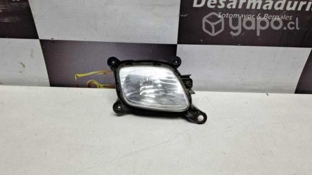 Neblinero morning 2015 a 2024 Rh 2.1