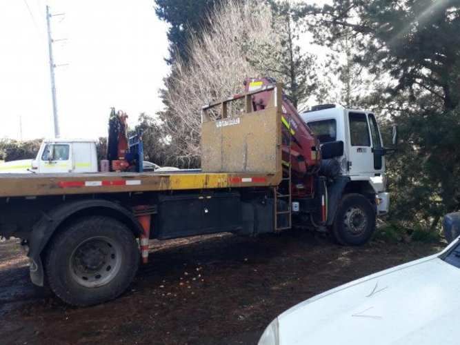 Camion pluma ford cargo