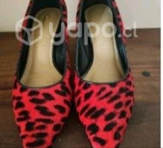 Zapato formal animal Print