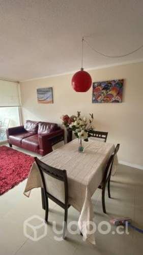 Arriendo departamento inserto en la playa